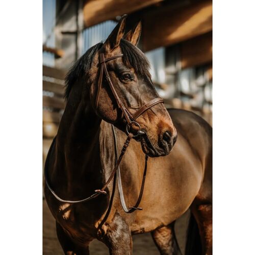 Bridon Équitation Norton Hunter Comfy Full Mixte Marron