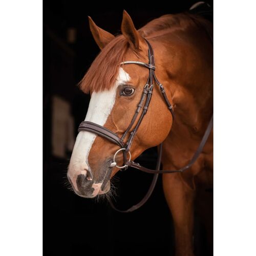 Bridon Équitation Pénélope Daily Strass Cob Mixte Marron