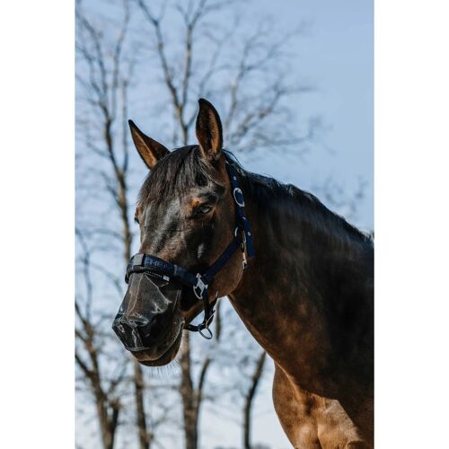 Protège Naseaux Pour Cheval Equithème Anti Uv M Mixte Noir