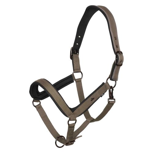 Licol Pour Cheval Hv Polo Essential Cob Mixte Marron