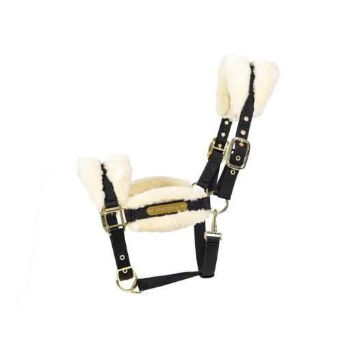 Licol Pour Cheval Mouton Kentucky Cob Mixte Blanc