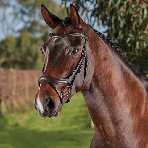 Bridons Équitation Anatomique Weatherbeeta Collegiate Comfitec Vogue Cob Mixte Marron