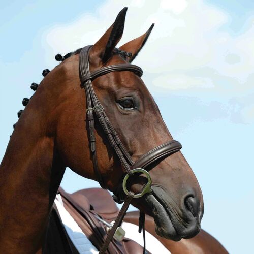 Bridons Équitation Surélevée Cavesson Weatherbeeta Collegiate Syntovia+ Poney Mixte Marron