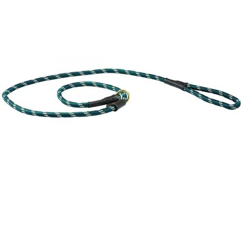 Laisse Pour Chien Ropecuir Weatherbeeta S Mixte Vert