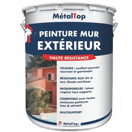 Metaltop - Peinture Mur Exterieur - Pot 5 L - 2012 - Orange séumon