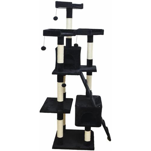 Arbre À Chat Palerme Noir