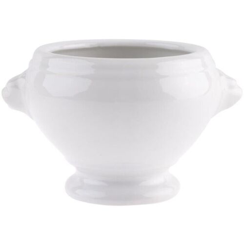 Bols À Soupe Tête De Lion Blancs 105mm Olympia - Boite De 6