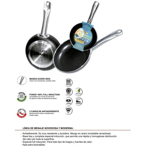 Poêle Pleine Induction Talox En Aluminium Pressé Avec Manche En Inox 22cm