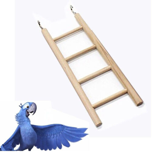 Échelle En Bois Naturel Pour Oiseaux Perroquets Hamsters Échelle 20cm Avec Crochets