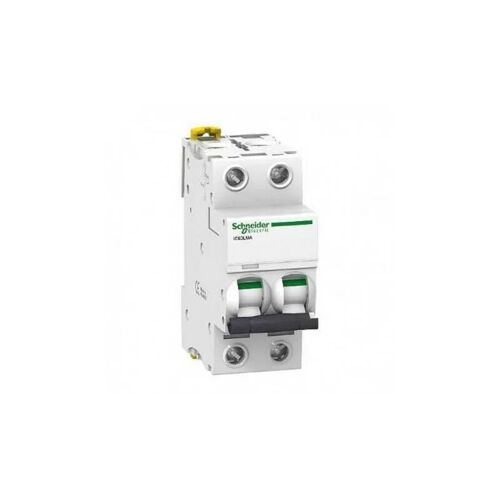 Schneider Electric - Schneider A9f90210 Disjoncteur à Déclenchement Instantané 10 à - 2p - Ic60l - Courbe Ma