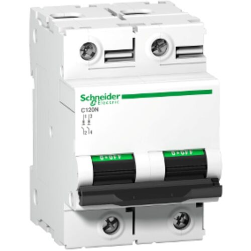 Schneider Electric - Disjoncteur C120n 2p 100 A, Courbe D, 10 Ka - A9n18384