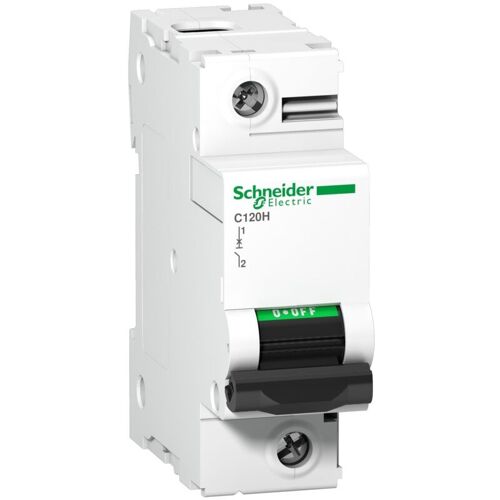 Schneider Electric - Disjoncteur C120h 1p 125 A, Courbe C, 15 Ka - A9n18448