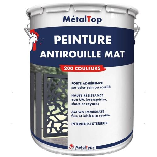Metaltop - Peinture Antirouille Mat - Pot 5 L - 7009 - Gris Vert