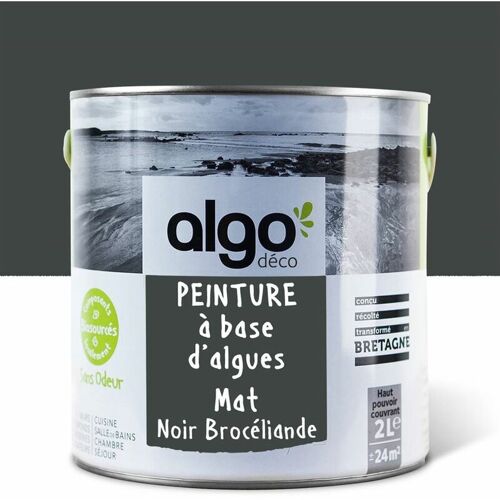 Peinture écologique Algo - Mat - Noir Brocéliande - 2l