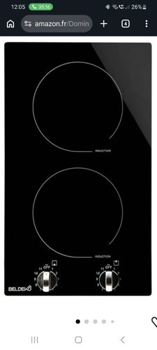 Plaque induction Domino
