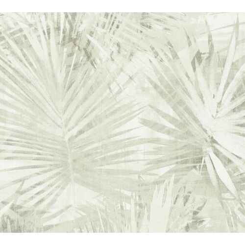 Papier Peint Attractive 2 - As-363854