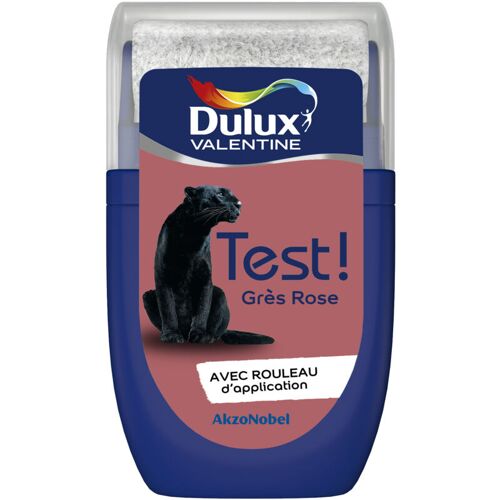 Testeur Couleur Grès Rose 30 Ml - Peinture Dulux Valentine