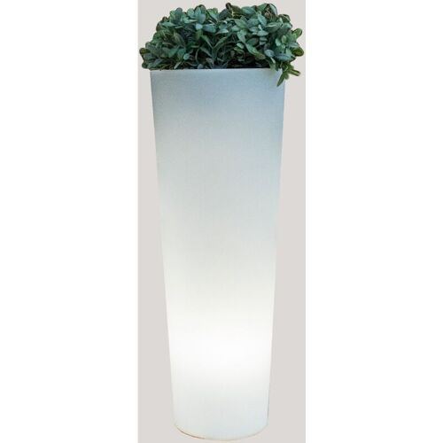 Ficus 60 Jardinière Ronde Et Haute Avec Lumière Pour Plantes Et Fleurs Très Résistantes. Lumière Blanc Froid Avec Câble. Fabriqué En Polyéthylène En Espagne