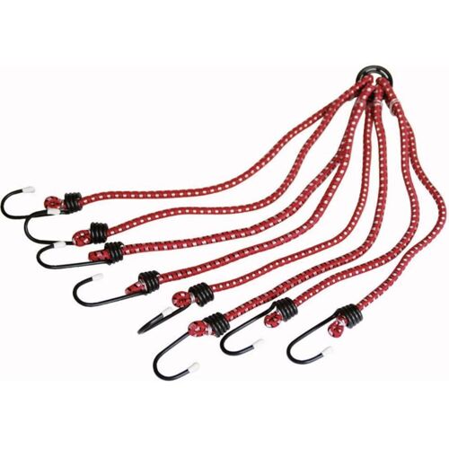 Hp Autozubehör - Tendeur (l X L X H) 23.5 Mm X 4.5 Cm X 12 Cm 12108 Avec Crochets En Acier, élastique 1 Pc(s)