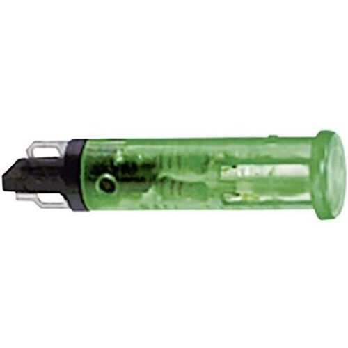 Rafi - 1.69.508.870/1503 Voyant Standard Avec Ampoule Vert 1 Pc(s)