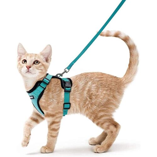 Galozzoit - Harnais Chat Petit Chien Laisse Harnais Chaton Réglable Vert Xs Collier Harnai Chat Refléchissént Gilet Respirant Pour Lapin, Chat Européen, Maine Coon, Persén, Attache Dessus Avec Laisse