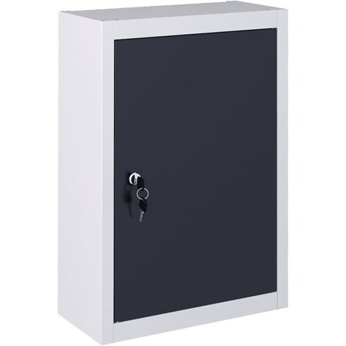 Armoire à Outils Murale Organiséteur D'Outils Armoire De Rangement Rangement D'Outils Atelier Style Industriel Métal 60 Cm Gris Et Noir