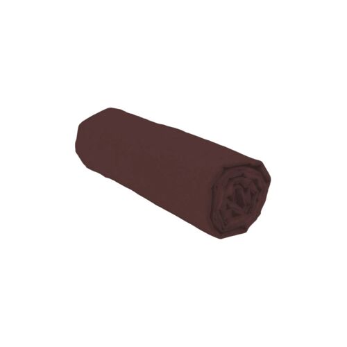 Drap-housse en coton 57 fils/cm² - Marron 160 x 200 cm Marron