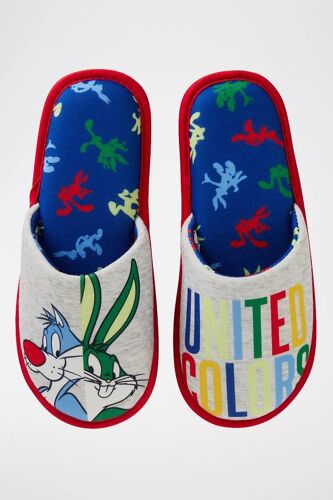 Chaussures Pantoufles Sylvestre Et Bugs Bunny Looney Tunes Multicolore Mixtemulticolore