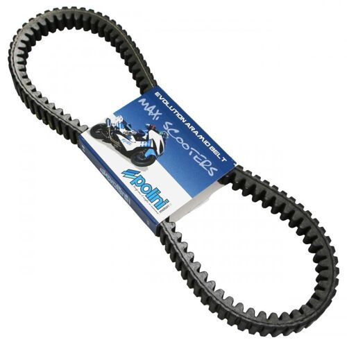 Courroie De Transmission Polini Pour Scooter Kawasaki 350 J 248.114 Neuf