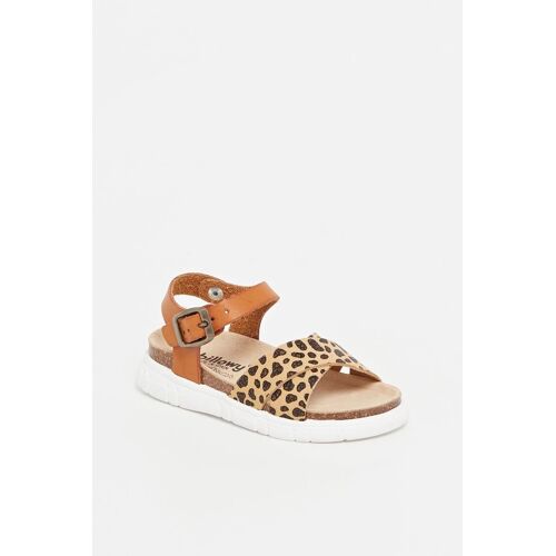Chaussures Sandales Zeus Beige Et Camelbeige