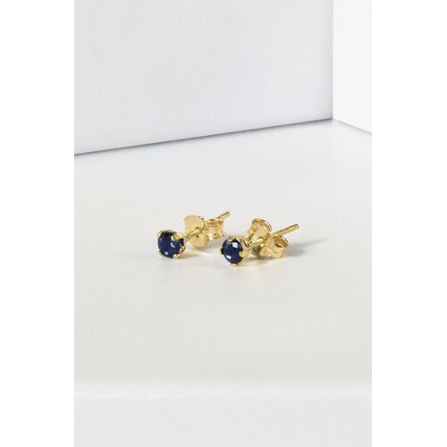 Puces Little blue Or jaune et saphir Bleu/Jaune