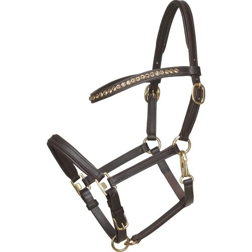 Licol Pour Cheval En Cuir Poulin Horseguard