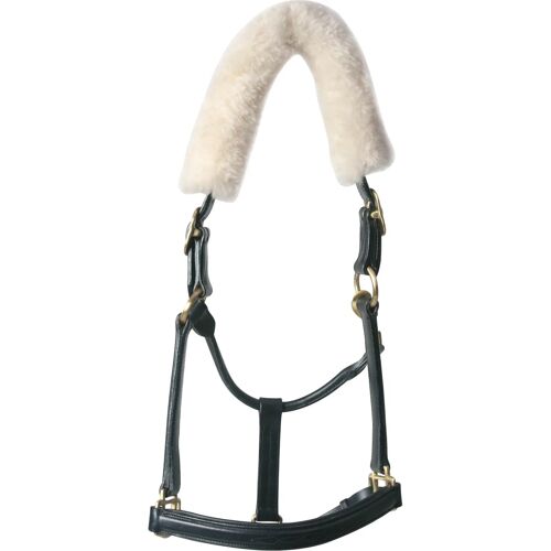 Fourreau Pour Cheval Cache Cou Horseguard