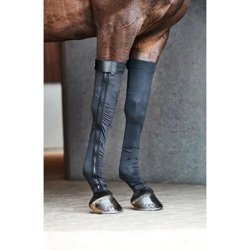 Bas De Récupération Pour Cheval Catago Fir-Tech