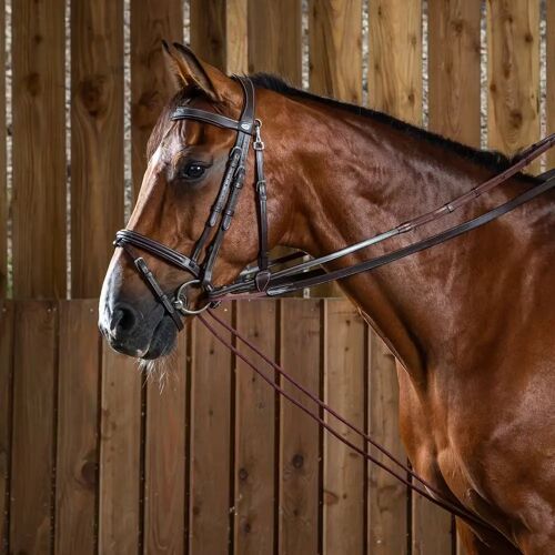 Rênes Pour Cheval En Cuir Dy'on Working 5/8
