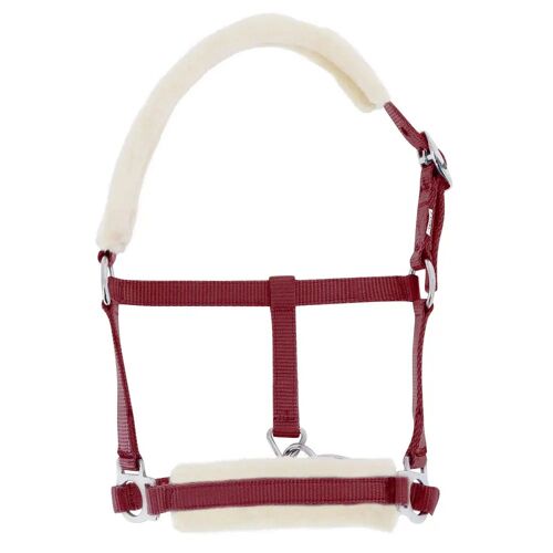 Licol Pour Poulain Foal En Mouton Synthétique Riding World
