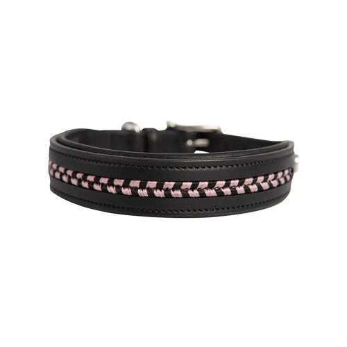 Collier Pour Chien En Cuir Antarès