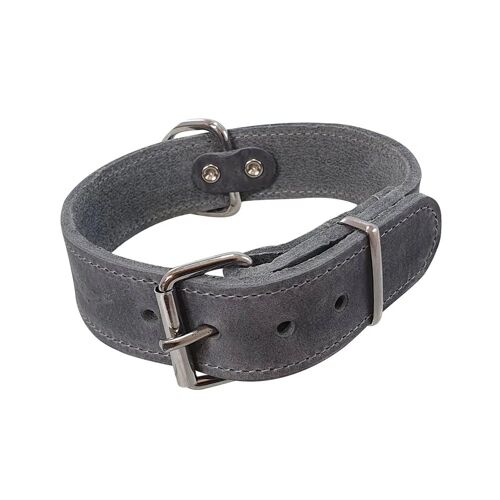 Collier Pour Chien Extra Large Nobby Pet Tabil