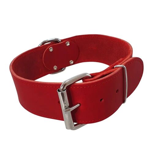 Collier Pour Chien Extra Large Nobby Pet Tabil