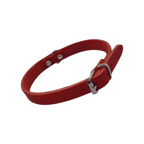 Collier Pour Chien Nobby Pet Tabil