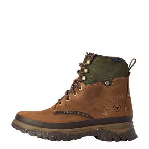 Chaussures D'écurie Ariat Moresby H2o