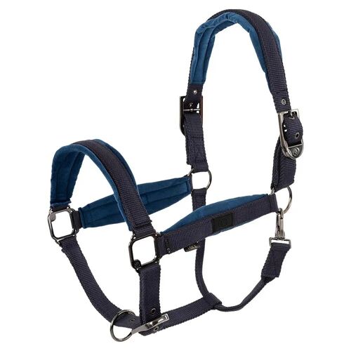 Licol Nylon Br Equitation Julia