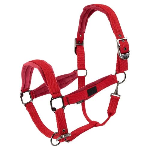 Licol Nylon Br Equitation Julia