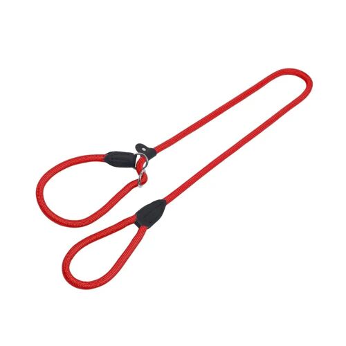 Laisse Et Collier Pour Chien Nobby Pet Fun Royal