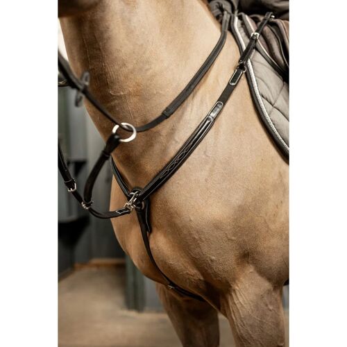 Collier De Chasse Pour Cheval Hfi Pro Line Arezzo