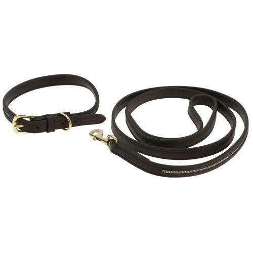 Collier Et Laisse Pour Chien Equithème Max