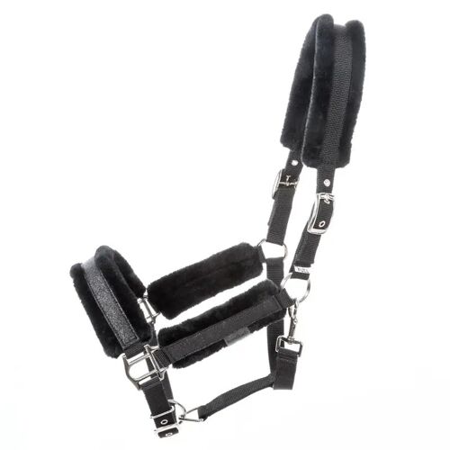 Licol Pour Cheval Kavalkade Star