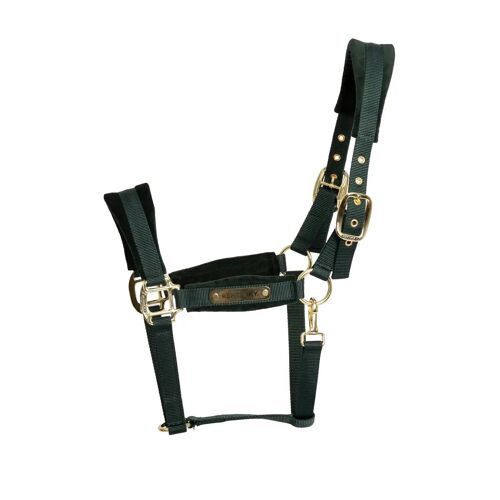 Licol Pour Cheval En Nylon Kentucky Horsewear