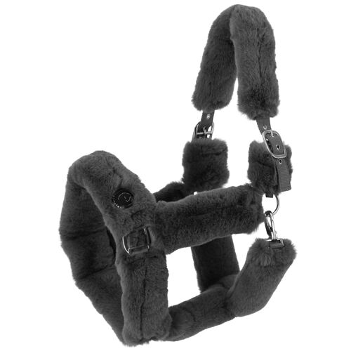 Licol Pour Cheval Equithème Jtm