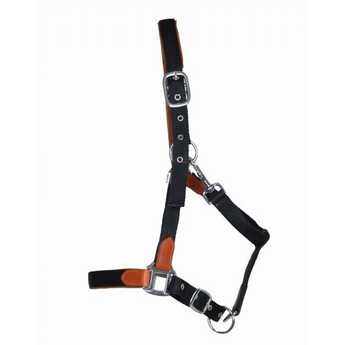 Licol Pour Cheval En Cuir Et Sangle T De T